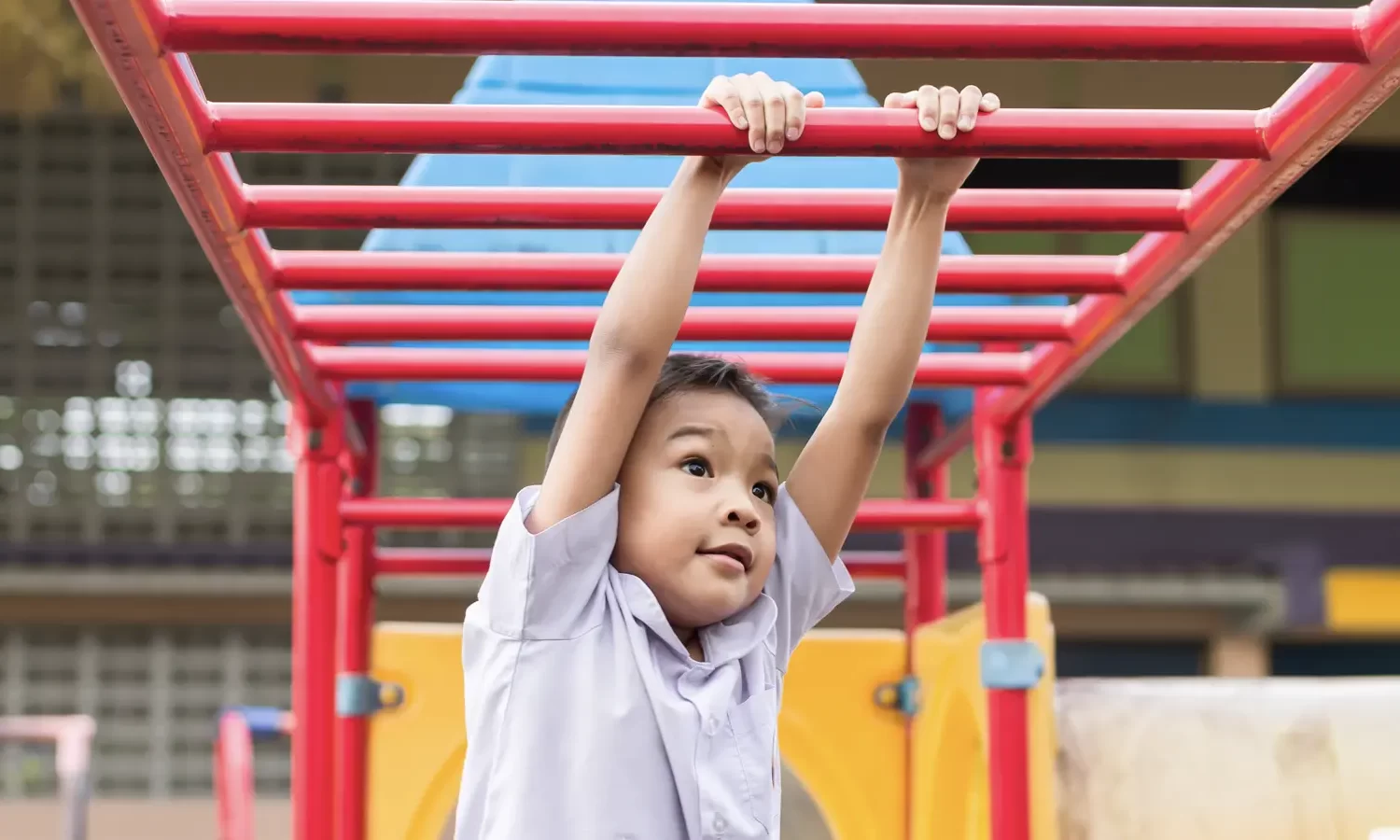 Playground Climbers