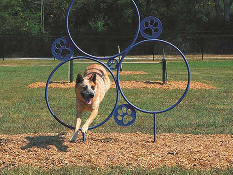 products-dog-park-export