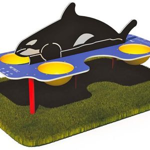 Whale Sand and Water Table